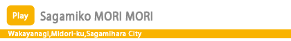 Sagamiko MORI MORI
