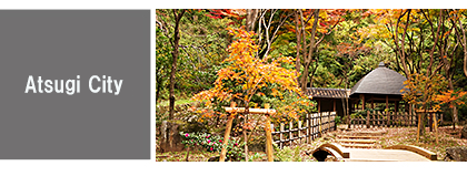 d-03-atsugi_eng