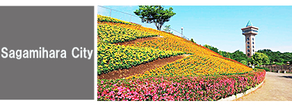 d-03-sagamihara_eng