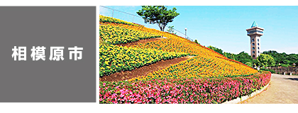 相模原市