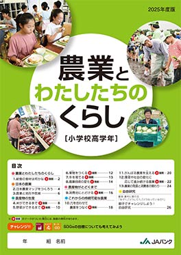 通常版2025