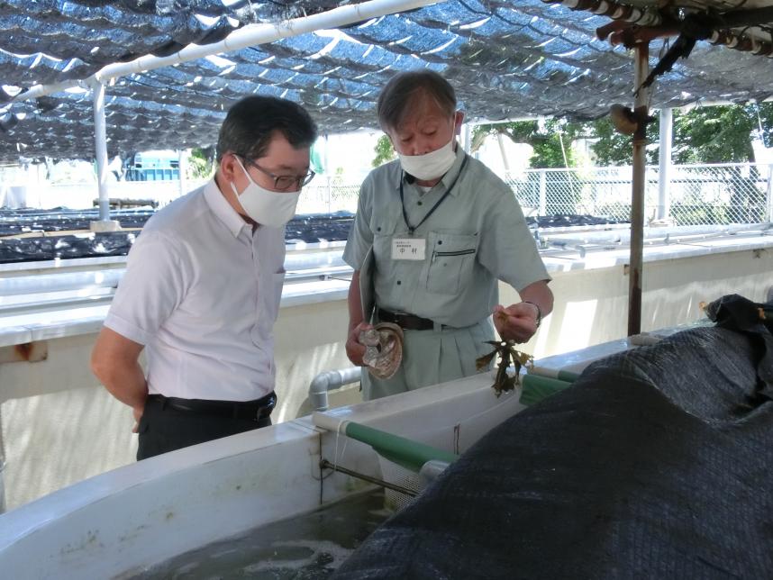 水産技術センターを視察する嶋村議長（左）