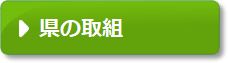 県の取組