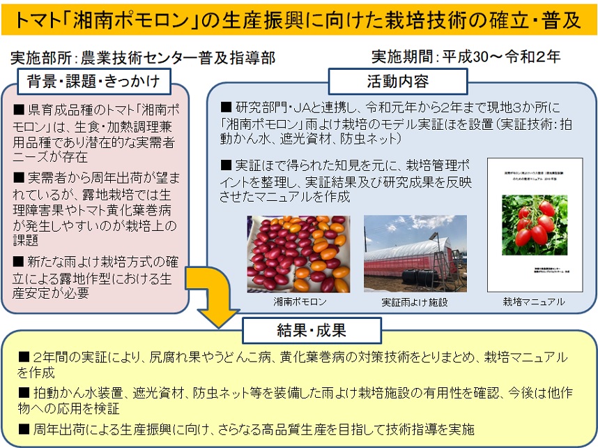 トマト「湘南ポモロン」の生産振興に向けた栽培技術の確立・普及
