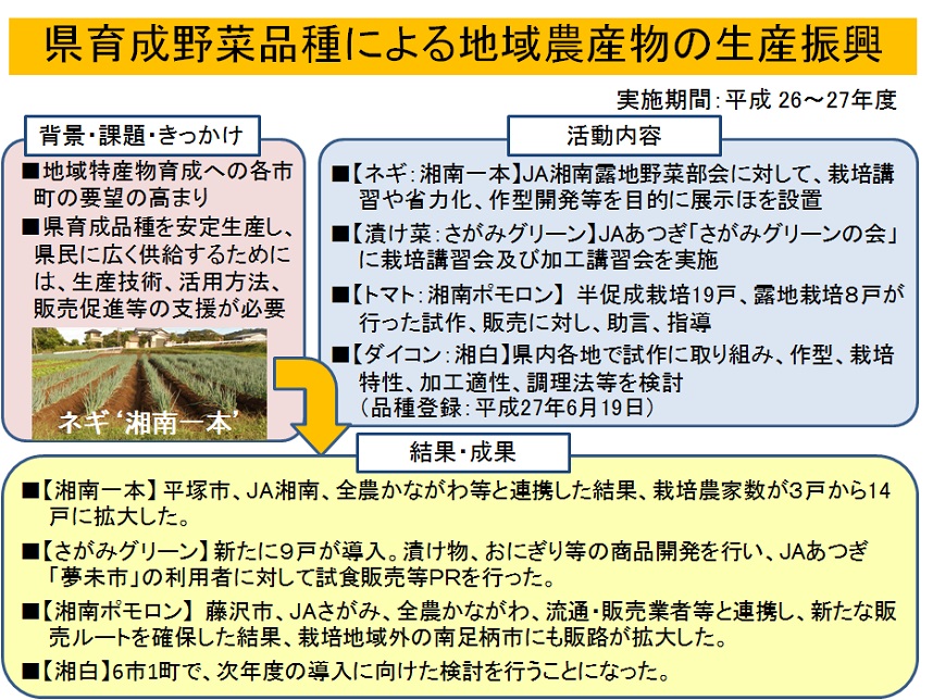 県育成野菜品種による地域農産物の生産振興