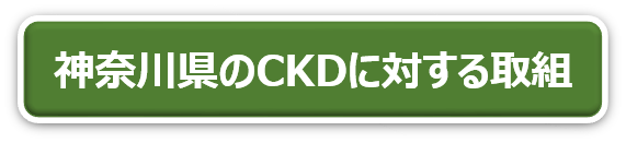 kanagawa-ckd