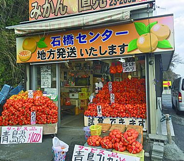 石橋センター