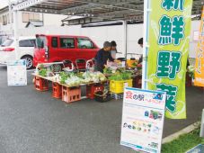 岡本金曜野菜市