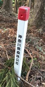 神奈川県承継分収林の見出標