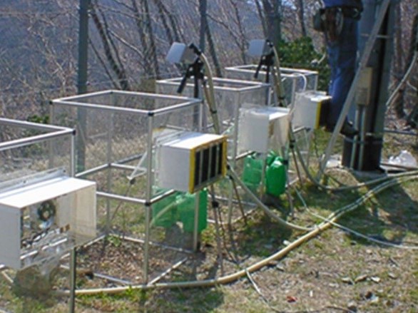 写真：大気汚染の植物への影響を調べる装置