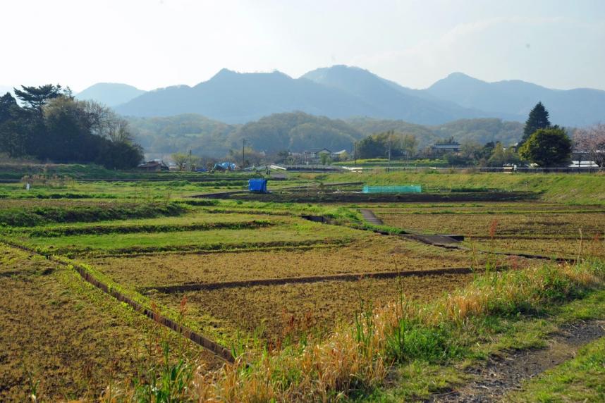 厚木市荻野里地里山保全等地域