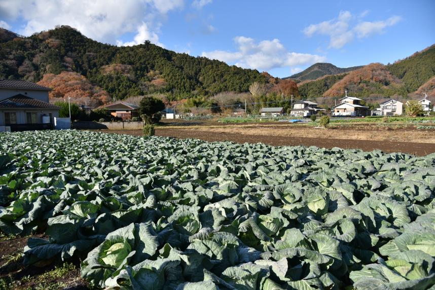 厚木市小鮎里地里山保全等地域