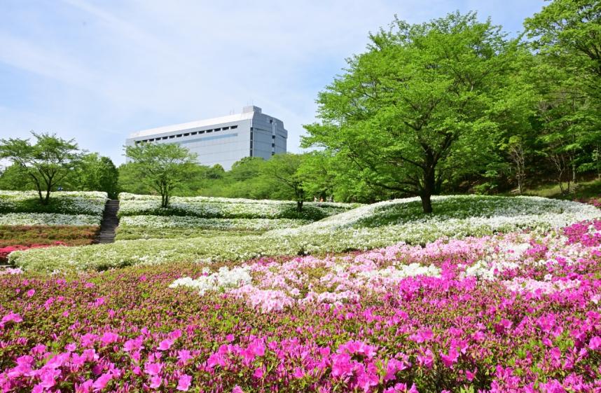 あつぎつつじの丘公園