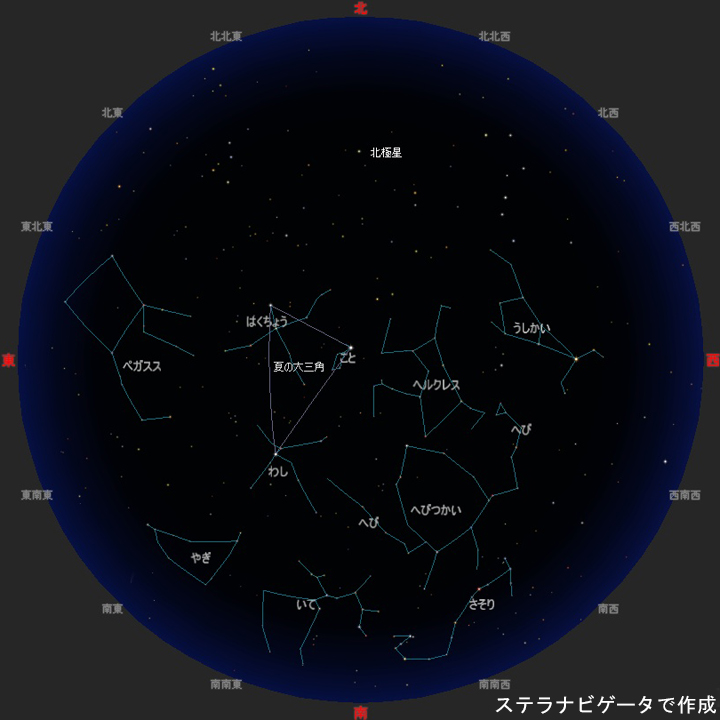 今月の星空主な星座