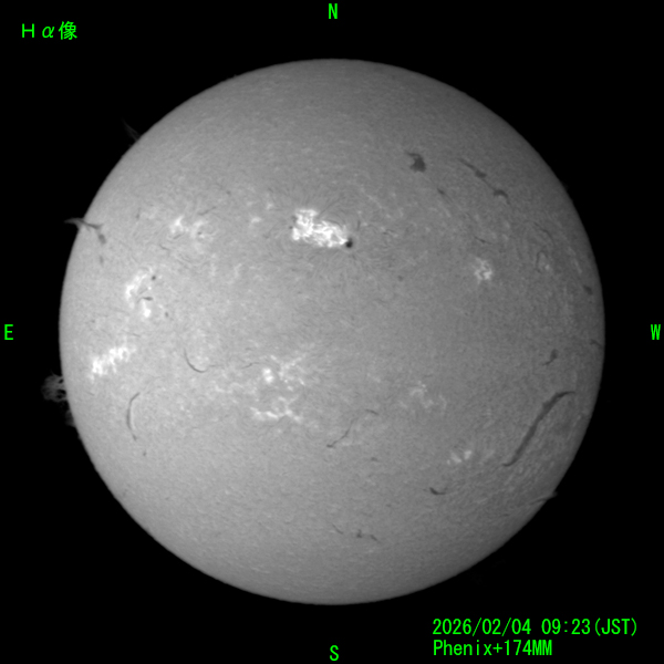 2026年2月4日のHα太陽面