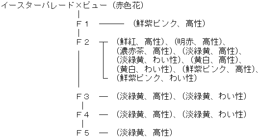 アルテミス育成経過図