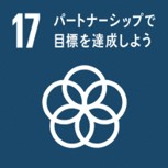 SDGsGoal17