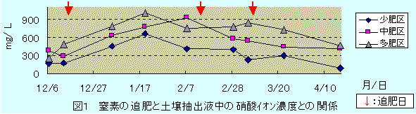 窒素の追肥と土壌の硝酸濃度