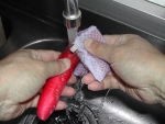 写真：赤ダイコンをきれいにに洗う