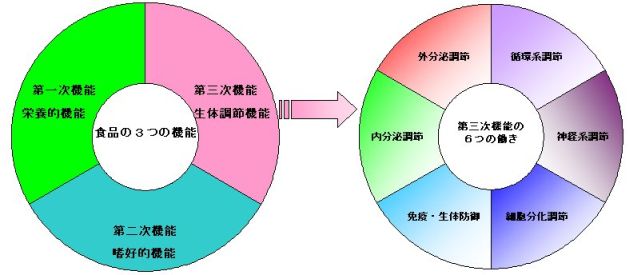 図：食品の機能性