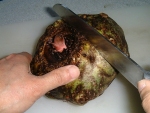 写真：コンニャクイモに包丁を入れる