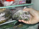 写真：漬けあがったのらぼう菜はポリエチレン袋に入れ、冷蔵庫で保管