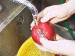 写真：りんごを水洗い