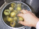 写真：塩漬けトマトをサッと水洗う