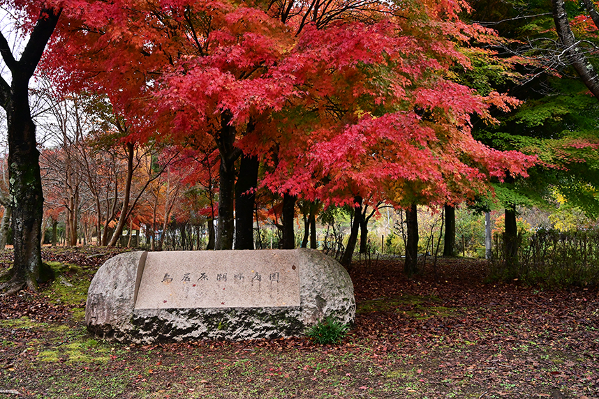 秋の湖畔公園