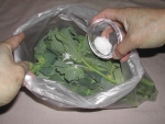 写真：ポリエチレン袋に入れたのらぼう菜に塩をふる