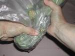 写真：ポリエチレン袋に入れたのらぼう菜を袋の上から手で握って揉み込む