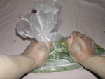 写真：ポリエチレン袋に入れたのらぼう菜を袋の上から体重をかけて揉み込む