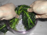写真：水の出たのらぼう菜を漬物容器に詰める