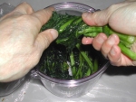 写真：のらぼう菜は捻りを加えて漬物容器に詰める