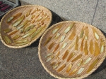 写真：ザルに広げたサツマイモを天日で干す