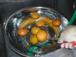 写真：ナツミカンを冷水に取る