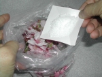 写真：サクラの花を袋入れる