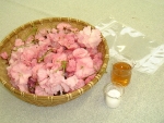 写真：漬け込み用のポリエチレン袋と塩、ウメ酢