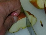 写真：リンゴは皮、芯をつけたまま5mm厚に切る