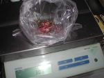 写真：陰干し後のサクラの花の重量を量り、その20％量の塩を用意