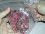 写真：袋を揺すって、桜の花に塩をまぶしつける