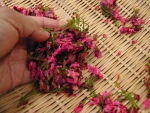 写真：ペッタリと固まった桜の花を壊さないようにあつかう