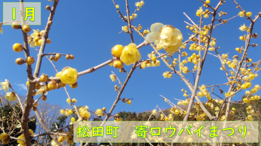 １月トップ画像