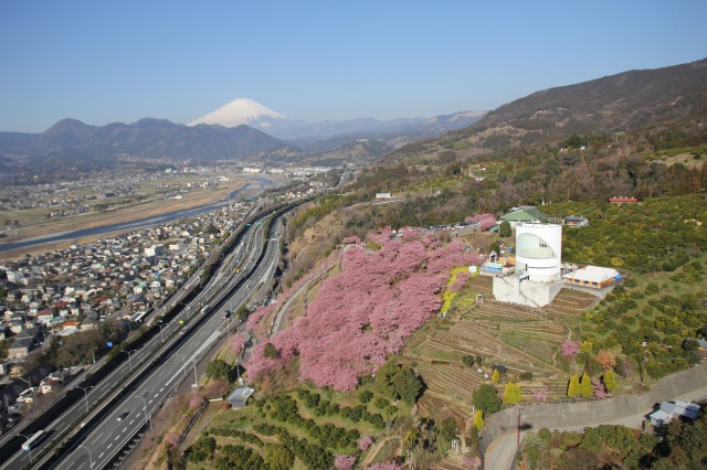 西平畑公園