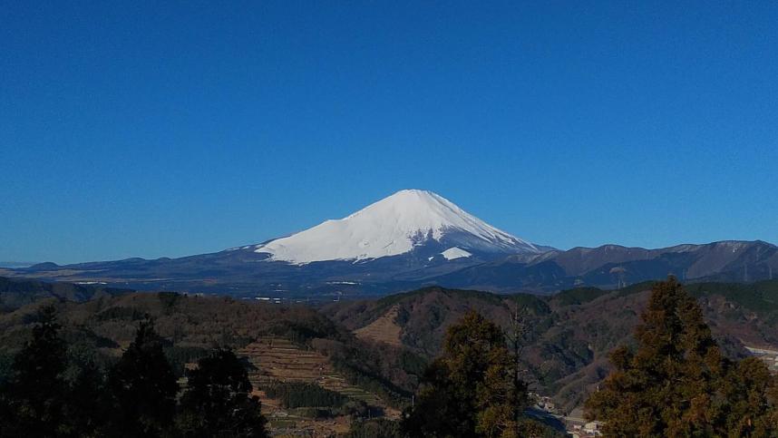 山北つぶらの公園