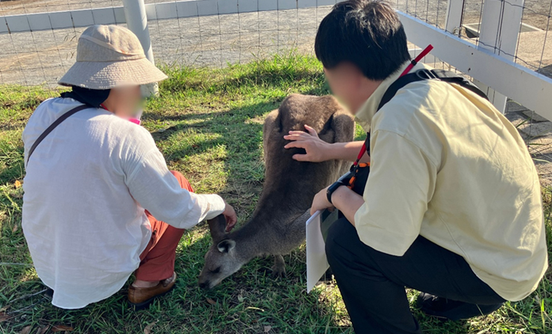 動物触れ合いタイムの様子
