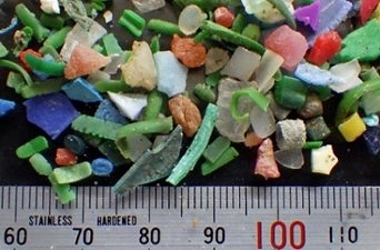 相模湾沿岸で取れたマイクロプラスチック