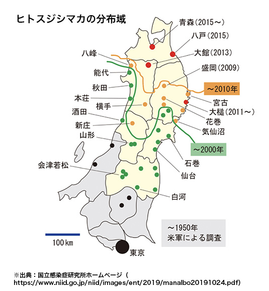 ヒトスジシマカの分布域の図表