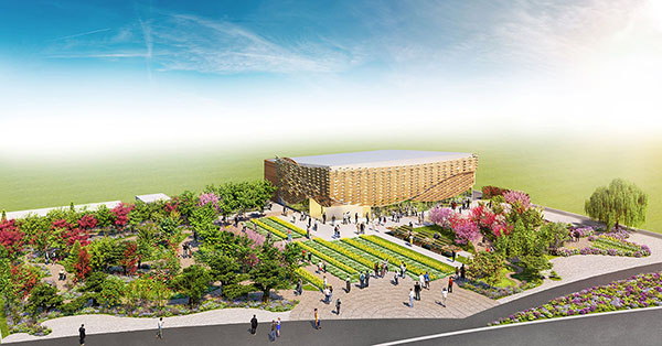 吾妻山の菜の花の様子