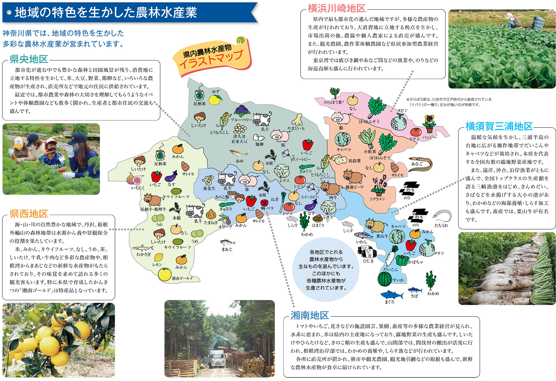 県内農林水産物イラストマップ